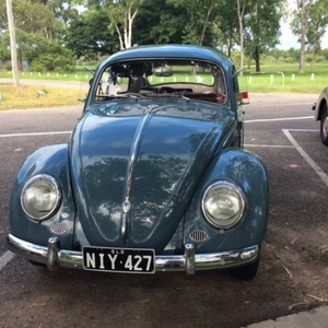 1959 Beetle